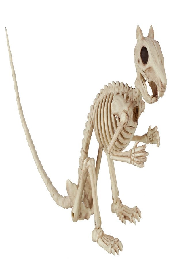 Crazy Bonez Skeleton Squirrel - 7" Halloween Skeleton Animal Decoration with Bendable Tail, Durable All-Weather Plastic, Realistic Bone Detail for Indoor Outdoor Spooky Décor and Garden Displays - Image 1